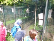 Výlet do ZOO Chleby a Labyrintária Loučeň